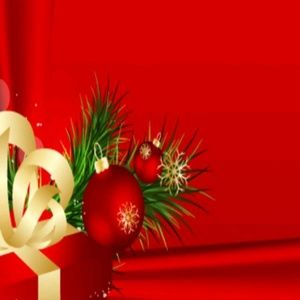 Meet your Posher, Shelly